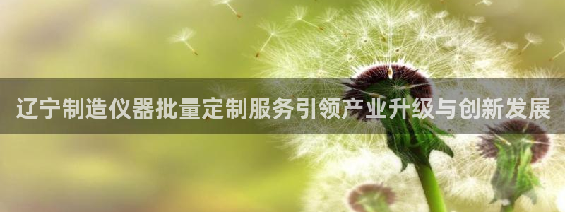 株洲天宏娱乐会所地址：辽宁制造仪器批量定制服务引领产业升级与
