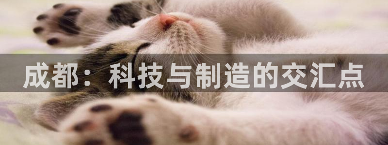 天宏娱乐天跃传媒招聘：成都：科技与制造的交汇点