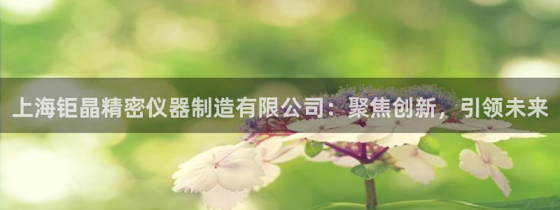天宏娱乐魂师对决：上海钜晶精密仪器制造有限公司：聚焦创新，引