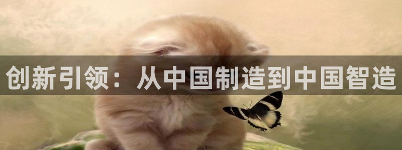 天宏娱乐666直播：创新引领：从中国制造到中国智造