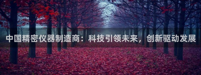 天宏娱乐开业晚宴：中国精密仪器制造商：科技引领未来，创新驱动