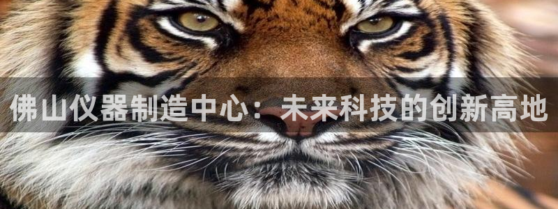 天宏娱乐会所电话：佛山仪器制造中心：未来科技的创新高地