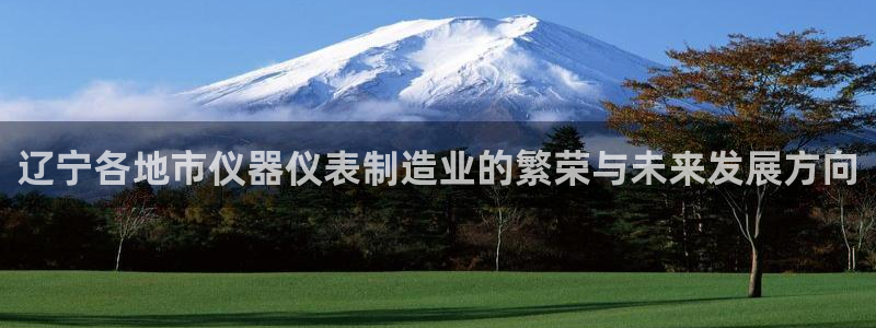 天宏娱乐石叔是谁：辽宁各地市仪器仪表制造业的繁荣与未来发展方