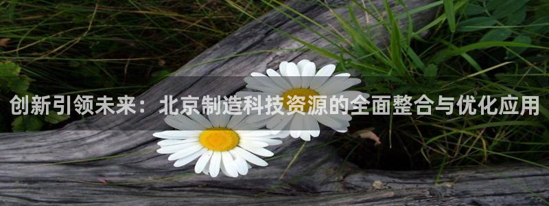 天宏娱乐朱俊伟：创新引领未来：北京制造科技资源的全面整合与优