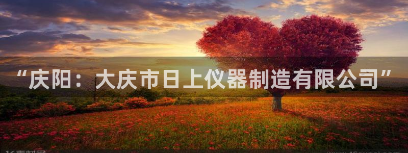 天宏娱乐曳59909：“庆阳：大庆市日上仪器制造有限公司”