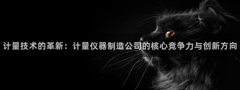 天宏娱乐卢叔：计量技术的革新：计量仪器制造公司的核心竞争力与