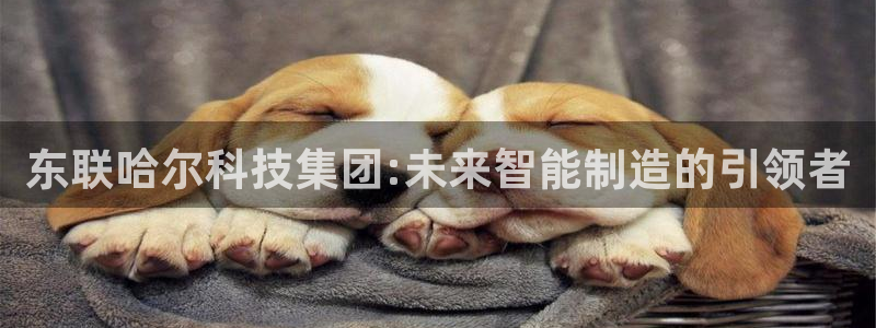 天宏娱乐平台官网：东联哈尔科技集团:未来智能制造的引领者