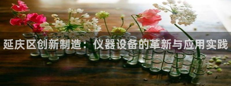 天宏娱乐朱俊伟：延庆区创新制造：仪器设备的革新与应用实践