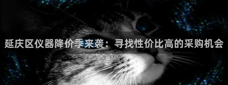 天宏娱乐app的下载：延庆区仪器降价季来袭：寻找性价比高的采