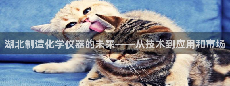 天宏娱乐倒闭了吗现在