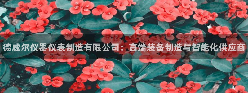 宏天娱乐俱乐部：德威尔仪器仪表制造有限公司：高端装备制造与智