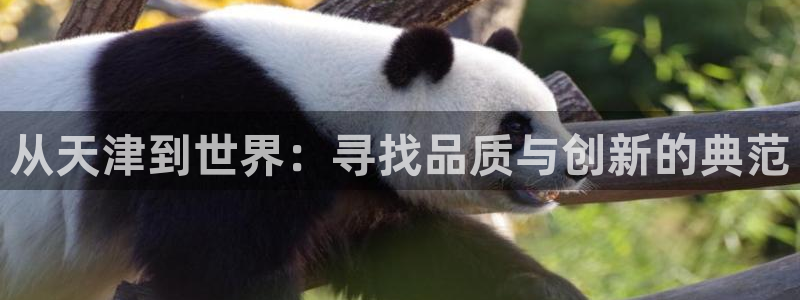 天宏娱乐q31.661：从天津到世界：寻找品质与创新的典范