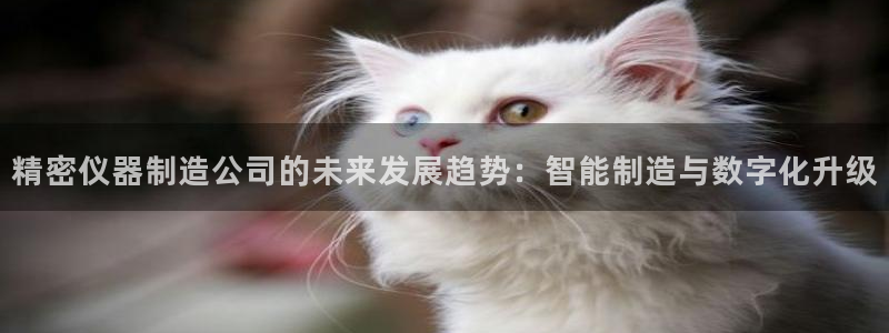 天宏娱乐的老板是谁