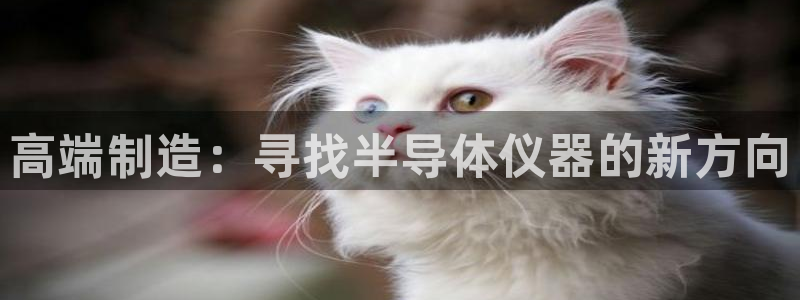 天宏娱乐石叔简介图片