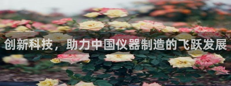 天宏娱乐官网平台注册：创新科技，助力中国仪器制造的飞跃发展