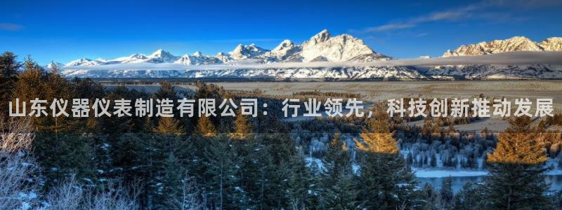 天宏娱乐青峰：山东仪器仪表制造有限公司：行业领先，科技创新推