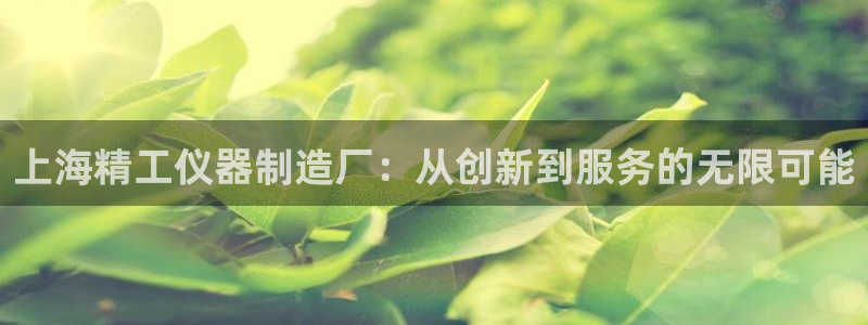 天宏娱乐66：上海精工仪器制造厂：从创新到服务的无限可能