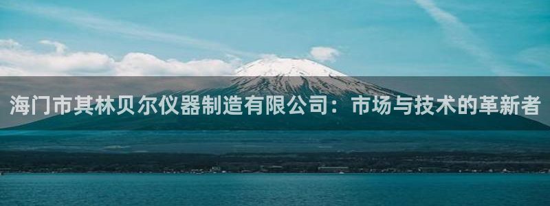 天宏娱乐传媒岳阳分公司：海门市其林贝尔仪器制造有限公司：市场