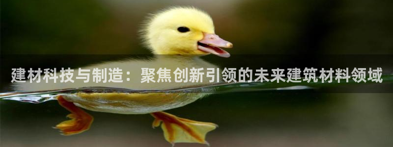 天宏娱乐金大叔：建材科技与制造：聚焦创新引领的未来建筑材料领