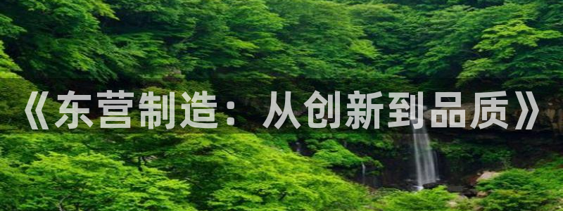 天宏娱乐团购活动：《东营制造：从创新到品质》
