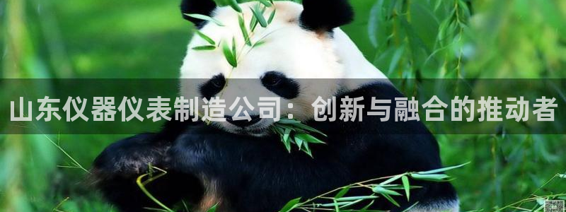 天宏娱乐实f力443593：山东仪器仪表制造公司：创新与融合