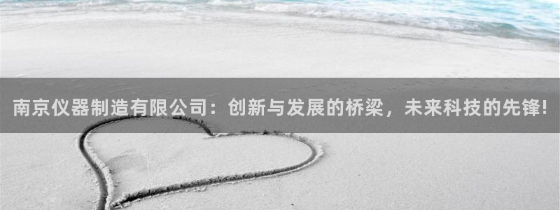 义宏娱乐林天毅：南京仪器制造有限公司：创新与发展的桥梁，未来
