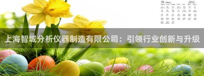 天宏娱乐石叔简介图片：上海智城分析仪器制造有限公司：引领行业