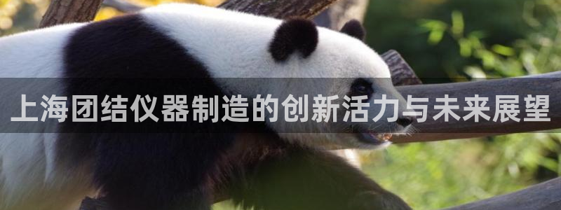 天宏娱乐3：上海团结仪器制造的创新活力与未来展望