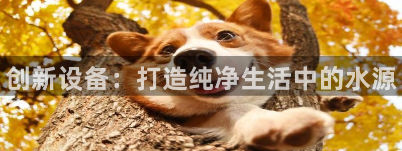 天宏3娱乐登录：创新设备：打造纯净生活中的水源