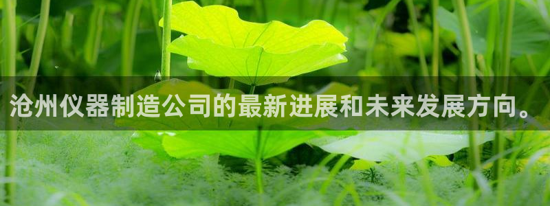天宏休闲娱乐指数a：沧州仪器制造公司的最新进展和未来发展方向