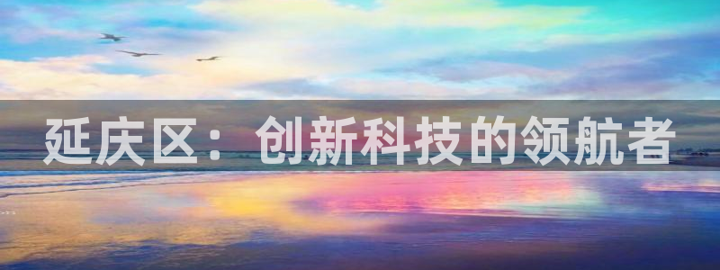天宏3娱乐平台：延庆区：创新科技的领航者