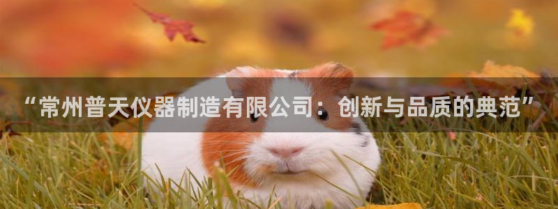 天宏娱乐官网平台：“常州普天仪器制造有限公司：创新与品质的典