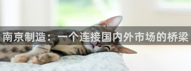 裕宏娱乐林天俊：南京制造：一个连接国内外市场的桥梁