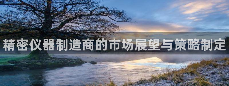 天宏娱乐小号：精密仪器制造商的市场展望与策略制定
