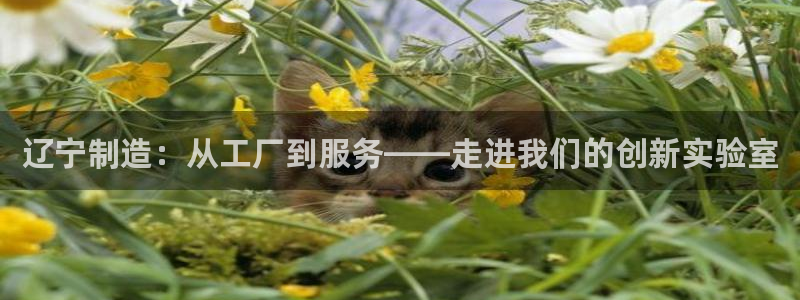 裕宏娱乐林天俊简介：辽宁制造：从工厂到服务——走进我们的创新