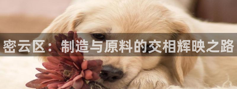 天宏娱乐app平台怎么下载：密云区：制造与原料的交相辉映之路