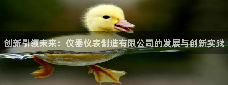 天宏娱乐直播：创新引领未来：仪器仪表制造有限公司的发展与创新