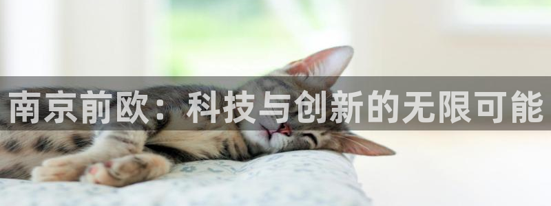 天宏娱乐·b主管管32937：南京前欧：科技与创新的无限可能