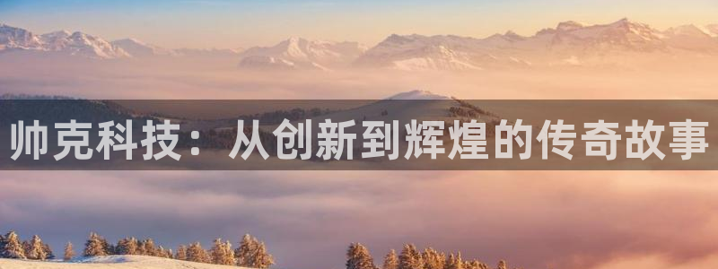 天宏娱乐彩票：帅克科技：从创新到辉煌的传奇故事