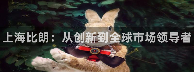 天宏娱乐宋善良：上海比朗：从创新到全球市场领导者