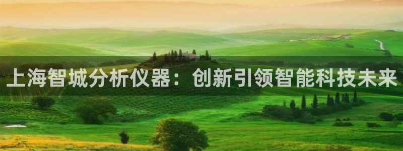 天宏娱乐下载：上海智城分析仪器：创新引领智能科技未来