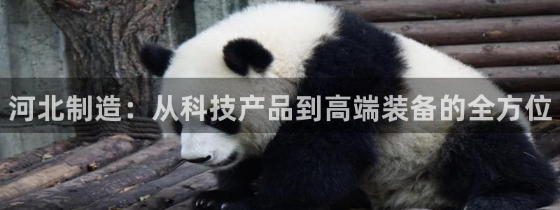 天宏娱乐客服：河北制造：从科技产品到高端装备的全方位