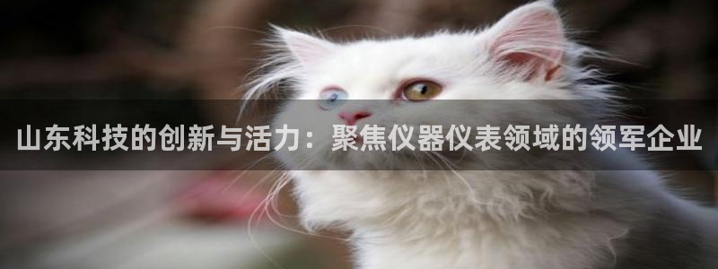 天宏娱乐c 判官：山东科技的创新与活力：聚焦仪器仪表领域的领