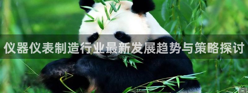 宏天娱乐会所：仪器仪表制造行业最新发展趋势与策略探讨