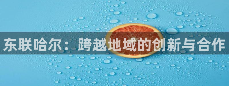 天宏娱乐是国企吗：东联哈尔：跨越地域的创新与合作