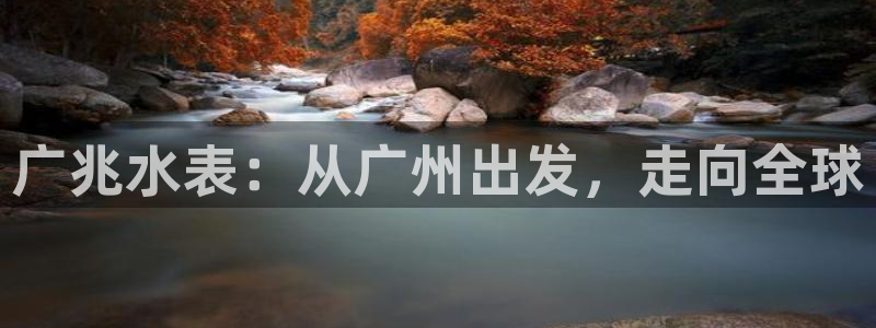 天宏娱乐胡叔：广兆水表：从广州出发，走向全球