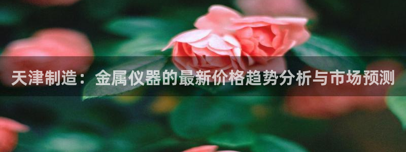 天宏娱乐是正规的吗：天津制造：金属仪器的最新价格趋势分析与市