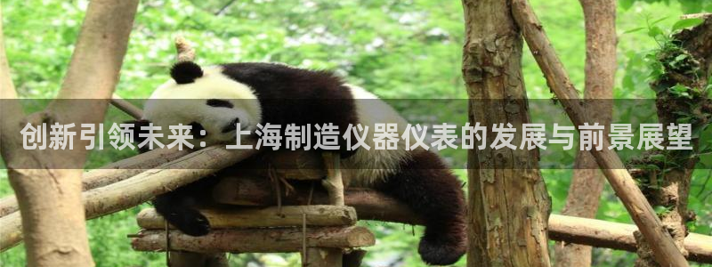 西安天宏娱乐老男孩：创新引领未来：上海制造仪器仪表的发展与前