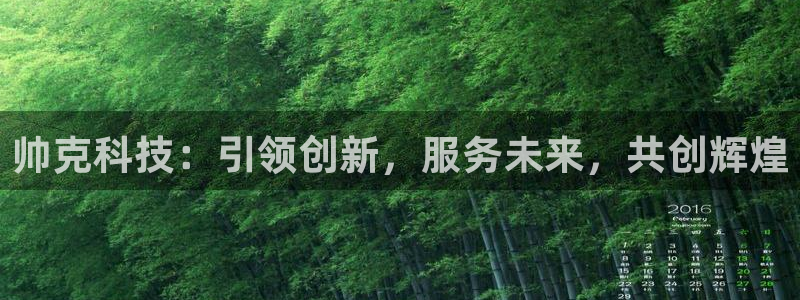 天宏休闲娱乐指数a：帅克科技：引领创新，服务未来，共创辉煌