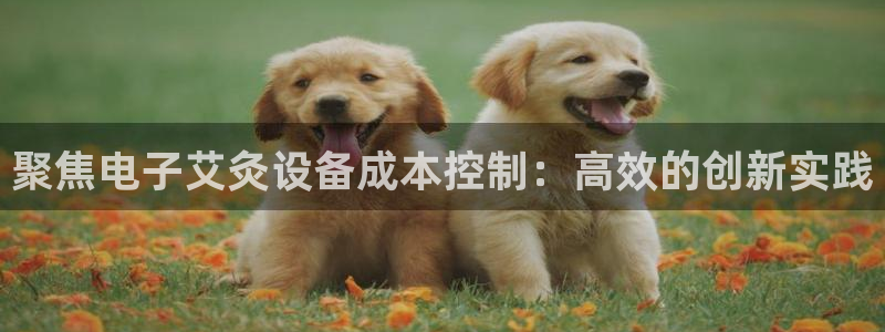 天宏娱乐君叔：聚焦电子艾灸设备成本控制：高效的创新实践